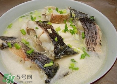 黑鱼炖汤怎么做