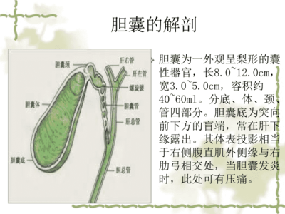 胆囊切除3天的菜谱