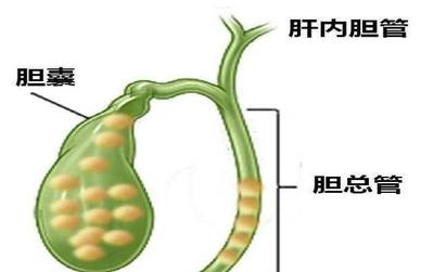 胆囊切除3天的菜谱