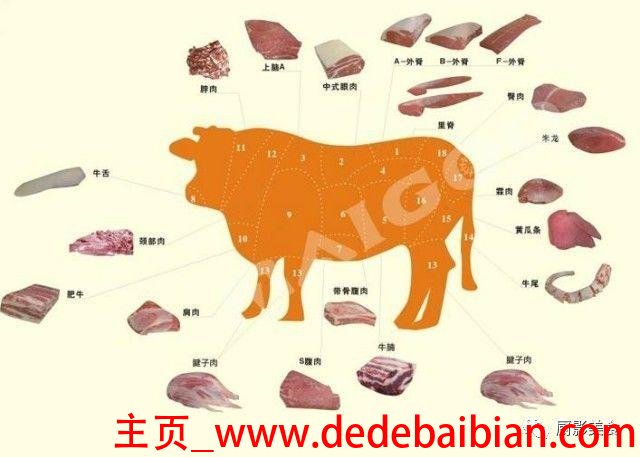 牛肉部位吃法