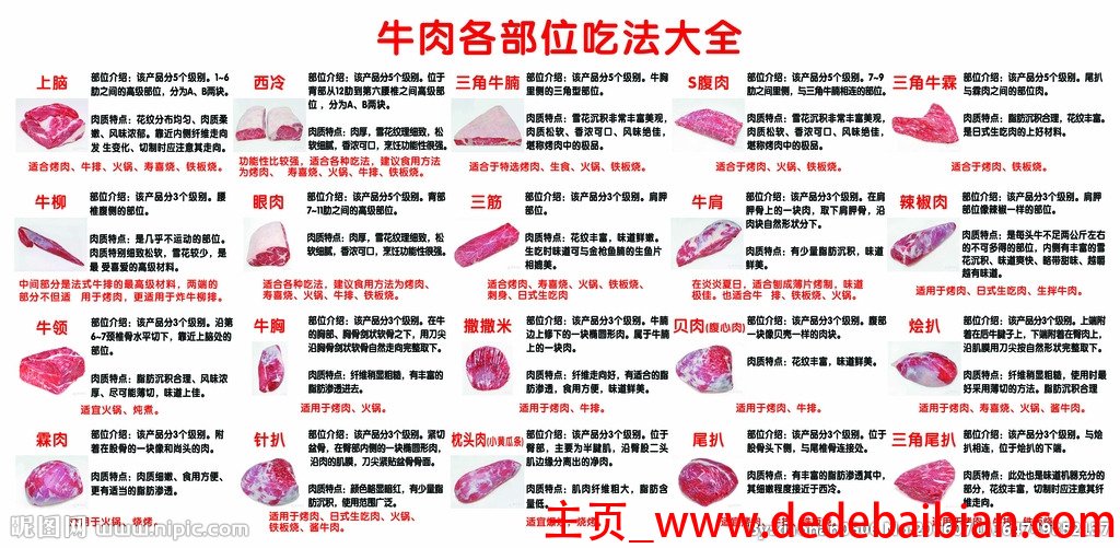 牛肉部位吃法