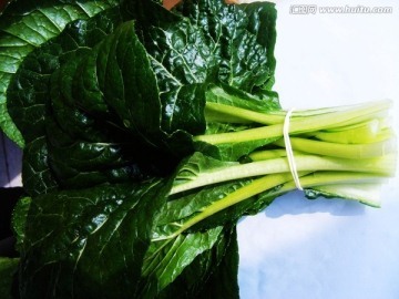 乌白菜怎么做好吃