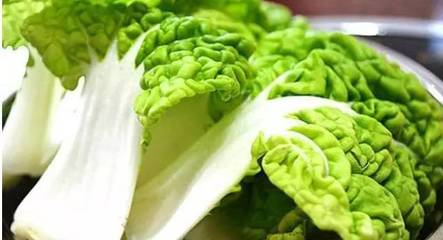 乌白菜怎么做好吃