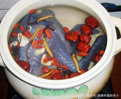 冬虫夏草炖汤放几根