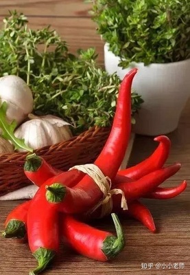 怎样腌制鲜辣椒