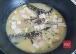 昂刺鱼豆腐汤的做法