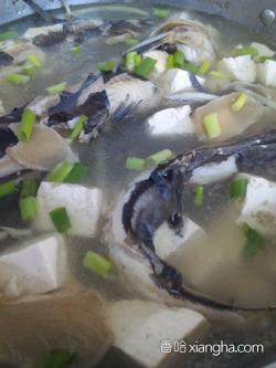 昂刺鱼豆腐汤的做法