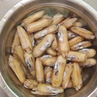 蛏子怎样做好吃