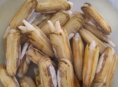 蛏子怎样做好吃