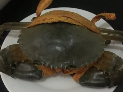 青蟹水煮需要多长时间