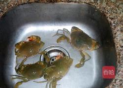 青蟹水煮需要多长时间