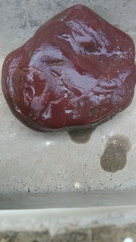 猪肝什么颜色的好