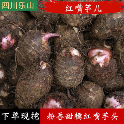 芋头功效作用