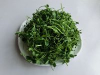 草头做法