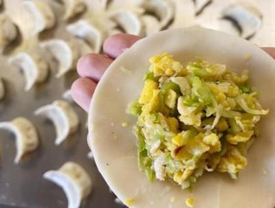夏天用什么菜包饺子