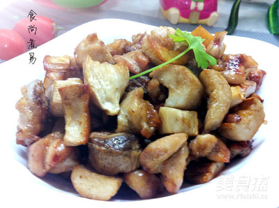 杏鲍菇的做法大全家常