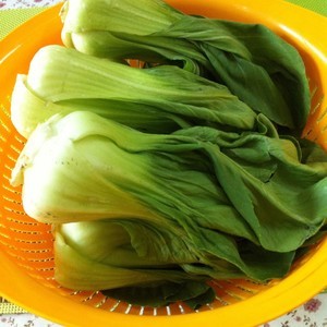 自制酸菜的做法