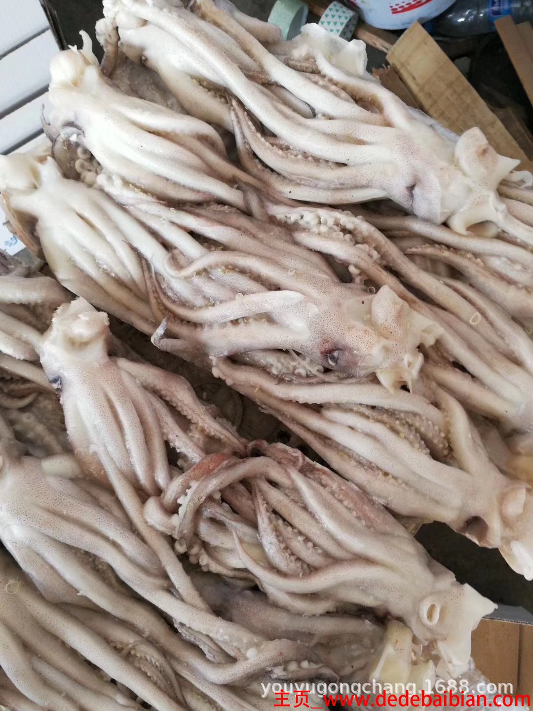 冻鱿鱼须怎么做好吃
