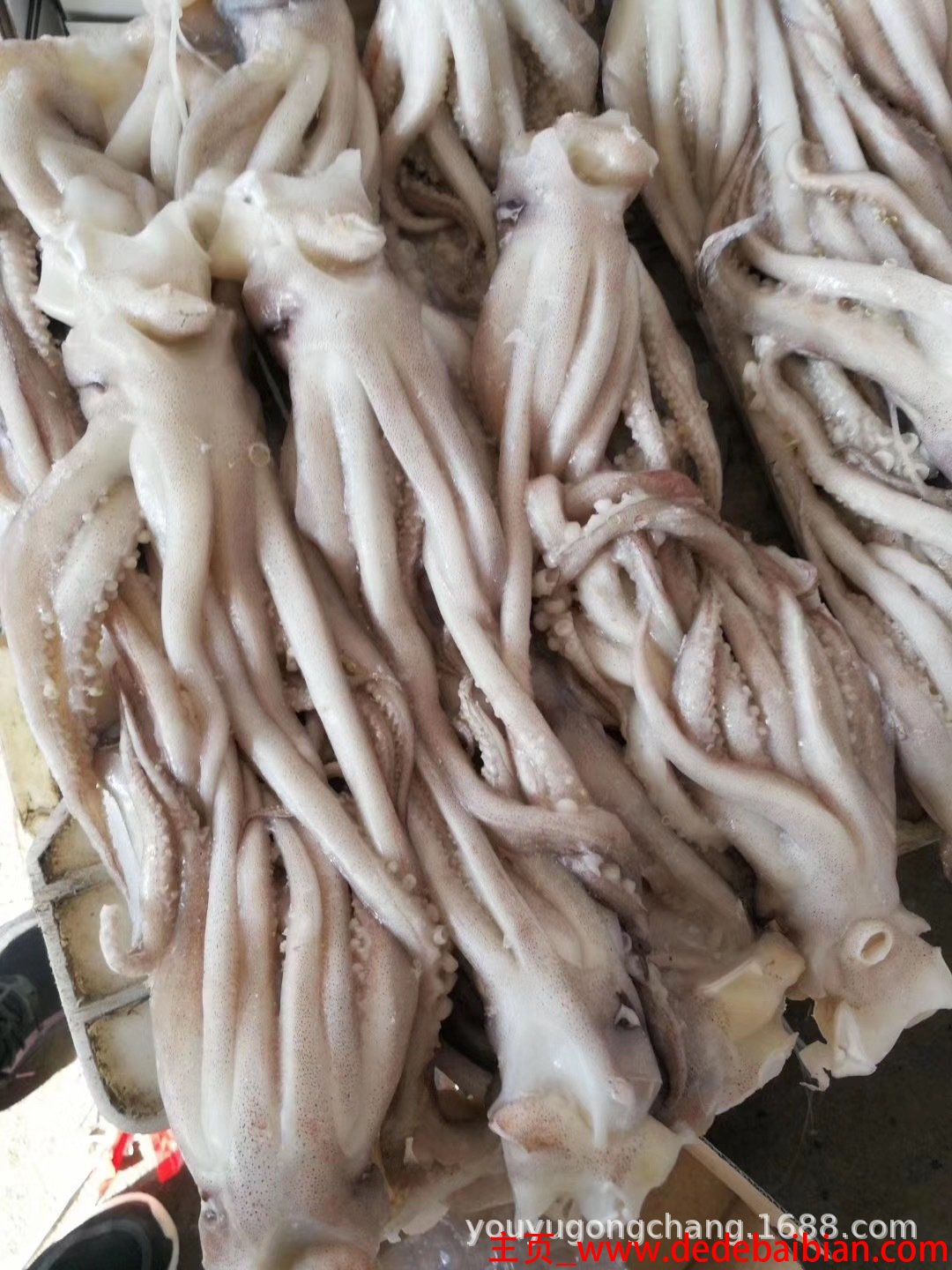 冻鱿鱼须怎么做好吃