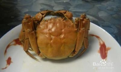 如何绑螃蟹