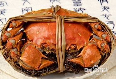 如何绑螃蟹