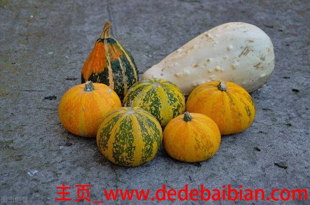南瓜叶能吃吗