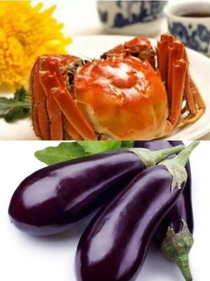 吃螃蟹可以吃茄子吗