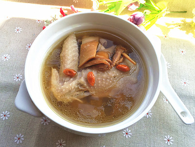 鱿鱼鸡汤