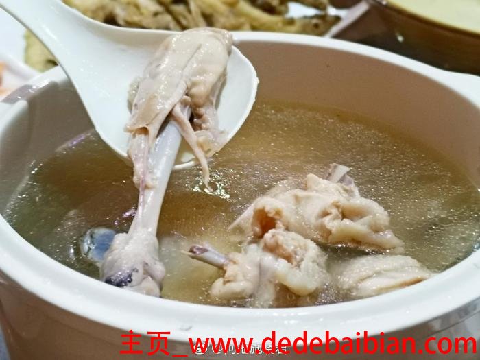 鱿鱼鸡汤