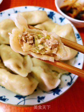 白菜猪肉饺子的做法
