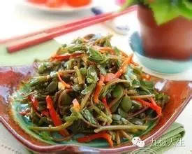 马齿苋怎么拌凉菜