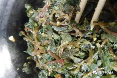马齿苋怎么拌凉菜
