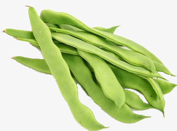 沙克沙豆角