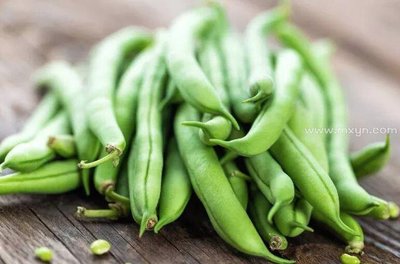 沙克沙豆角