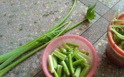 芋荷梗怎么做好吃