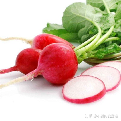 圆红萝卜