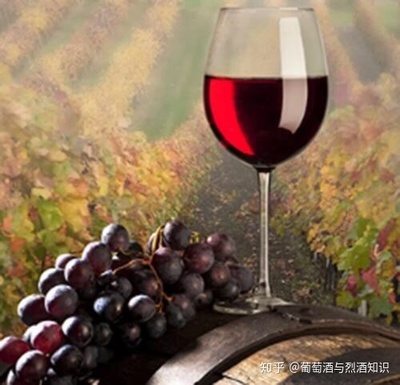 家常葡萄酒的酿制方法