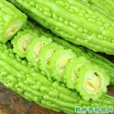 苦瓜相克食物
