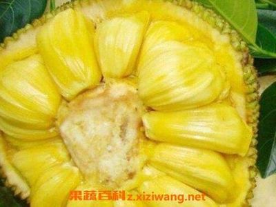 小虾米有什么营养价值
