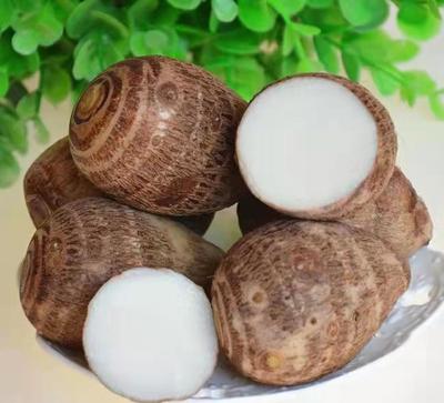 芋艿烧什么好吃