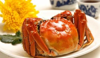 螃蟹煮好还是蒸好
