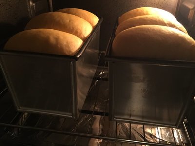 面包的做法 烤箱