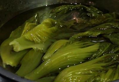 酸菜的菜
