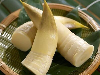 豆腐竹笋可以一起吃吗