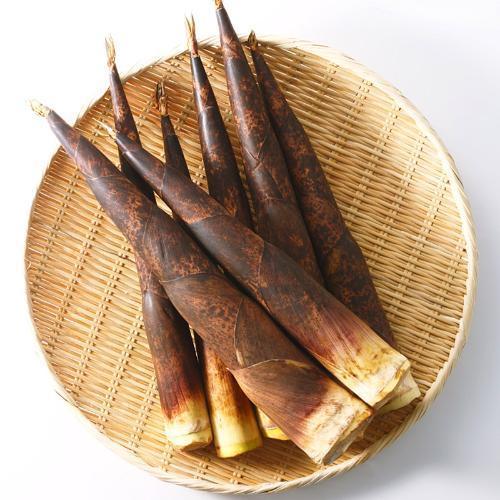 豆腐竹笋可以一起吃吗