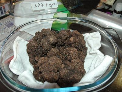 黑松露蛋糕