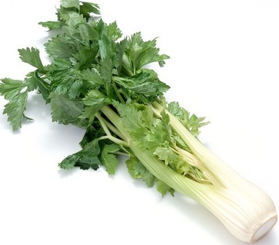 芹菜的样子