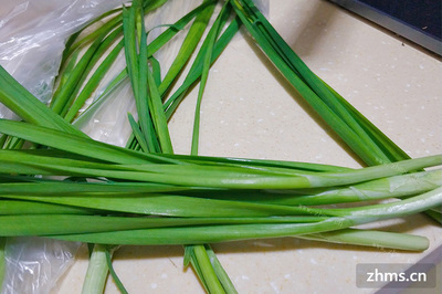 豆浆能和韭菜一起吃吗