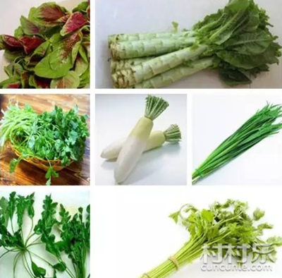 苋菜和土豆能一起吃吗
