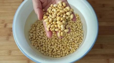 豆腐脑豆子和水的比例